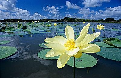 《匹诺曹的谎言》亮相JustDan2023游戏节