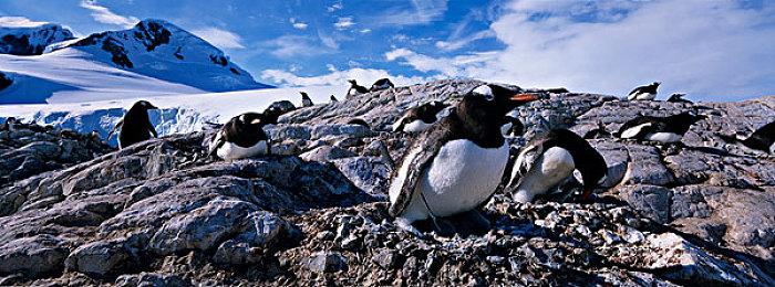 因奖励获取问题《使命召唤：黑色行动6》双倍经验活动现已延长